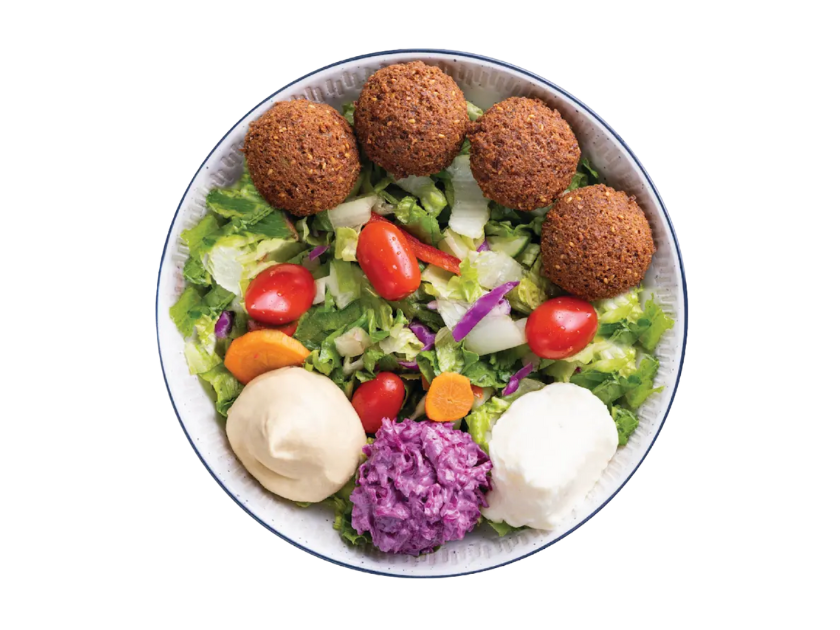 Falafel salad bowl with romaine, tomatoes, cucumbers, peppers, cabbage, herbs and dressing